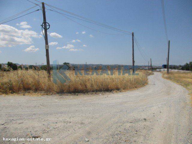 ΕΞΩΤΕΡΙΚΗ ΛΗΨΗ