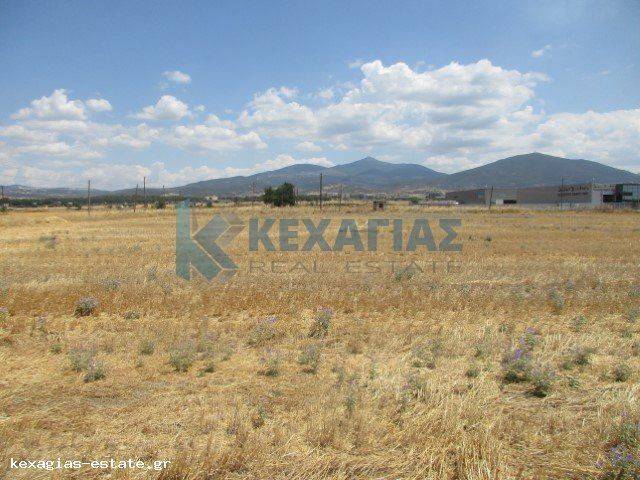 ΕΞΩΤΕΡΙΚΗ ΛΗΨΗ