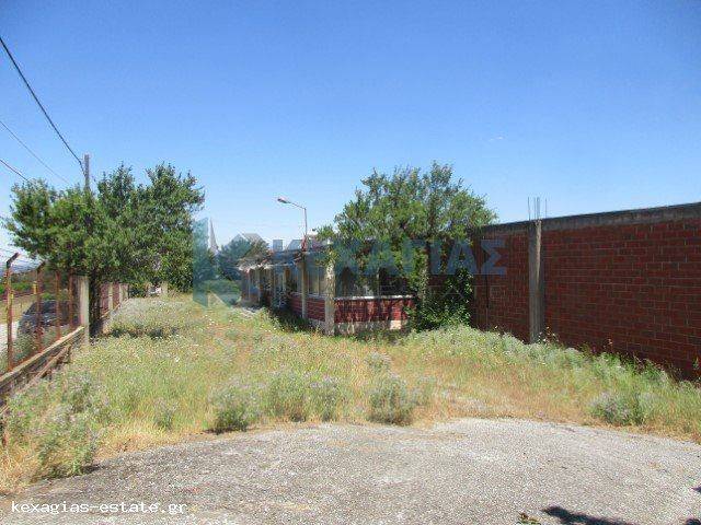 ΕΞΩΤΕΡΙΚΗ ΛΗΨΗ