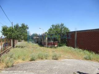 ΕΞΩΤΕΡΙΚΗ ΛΗΨΗ