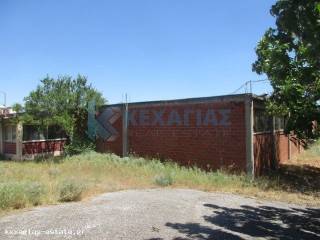 ΕΞΩΤΕΡΙΚΗ ΛΗΨΗ