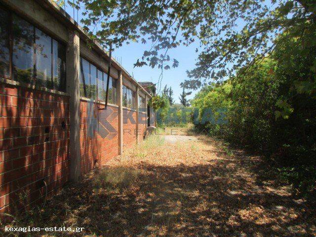 ΕΞΩΤΕΡΙΚΗ ΛΗΨΗ