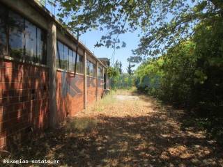 ΕΞΩΤΕΡΙΚΗ ΛΗΨΗ