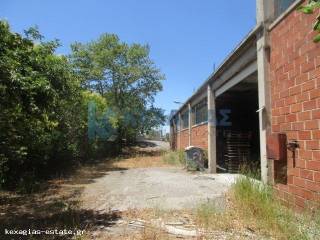 ΕΞΩΤΕΡΙΚΗ ΛΗΨΗ