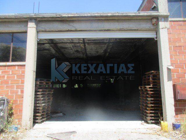 ΕΞΩΤΕΡΙΚΗ ΛΗΨΗ