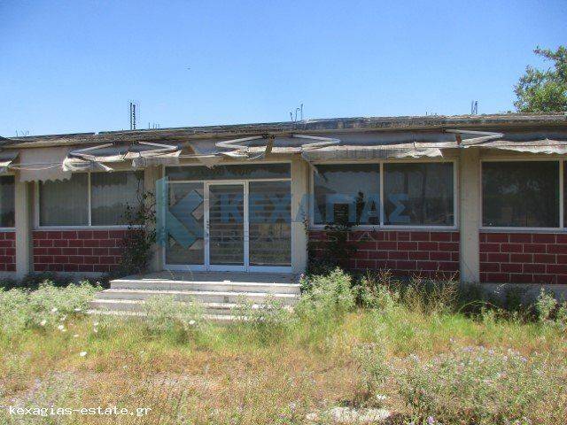 ΕΞΩΤΕΡΙΚΗ ΛΗΨΗ