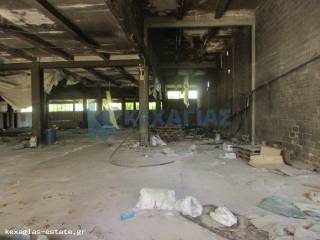 ΕΣΩΤΕΡΙΚΗ ΛΗΨΗ