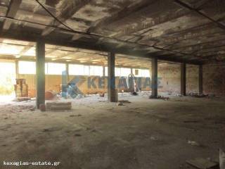 ΕΣΩΤΕΡΙΚΗ ΛΗΨΗ