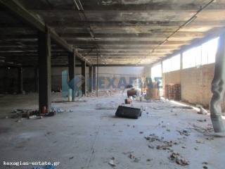 ΕΣΩΤΕΡΙΚΗ ΛΗΨΗ