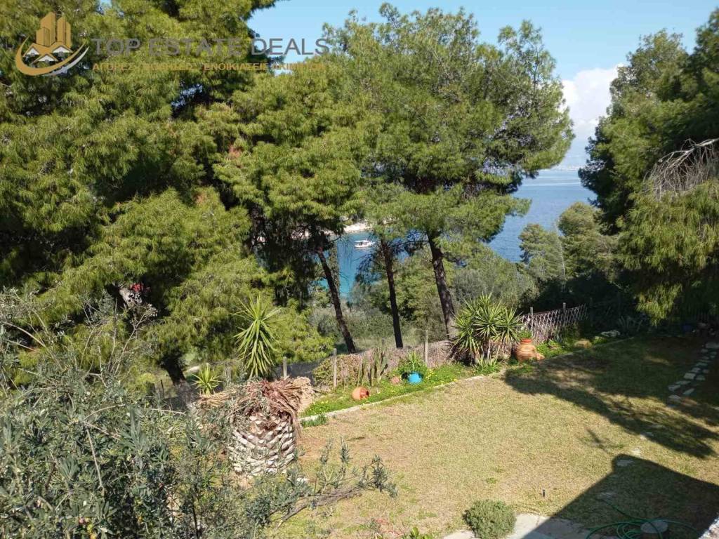 gkazon kepos oikias -thea thalassa