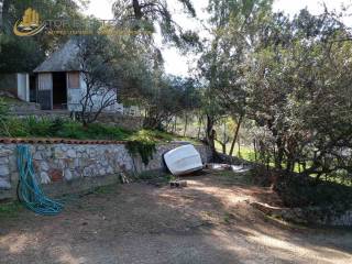 kepos -xylinos oikiskos -idiotikos dromos