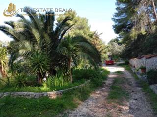 Idiotikos dromos pros ten oikia