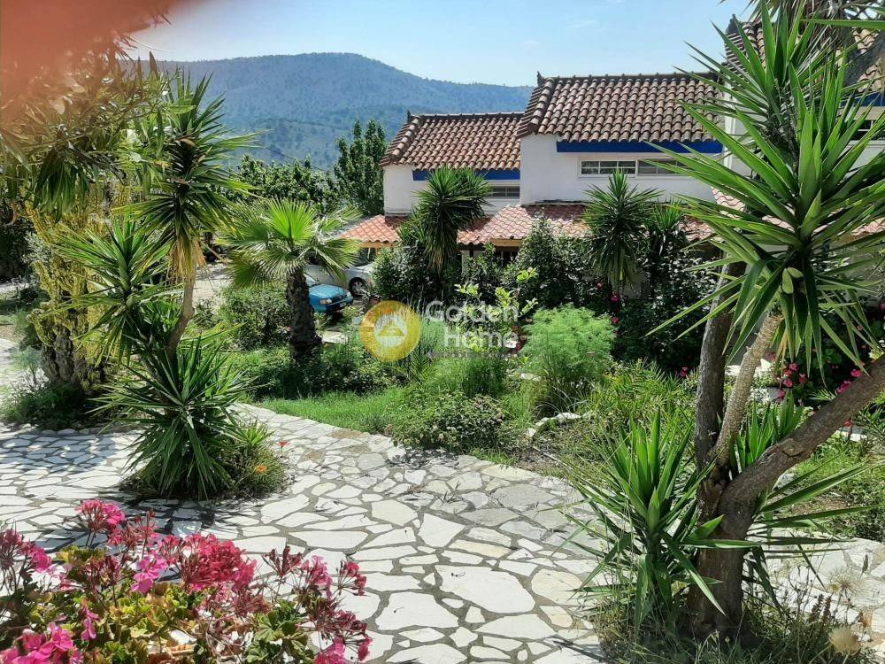 Ανελκυστήρας