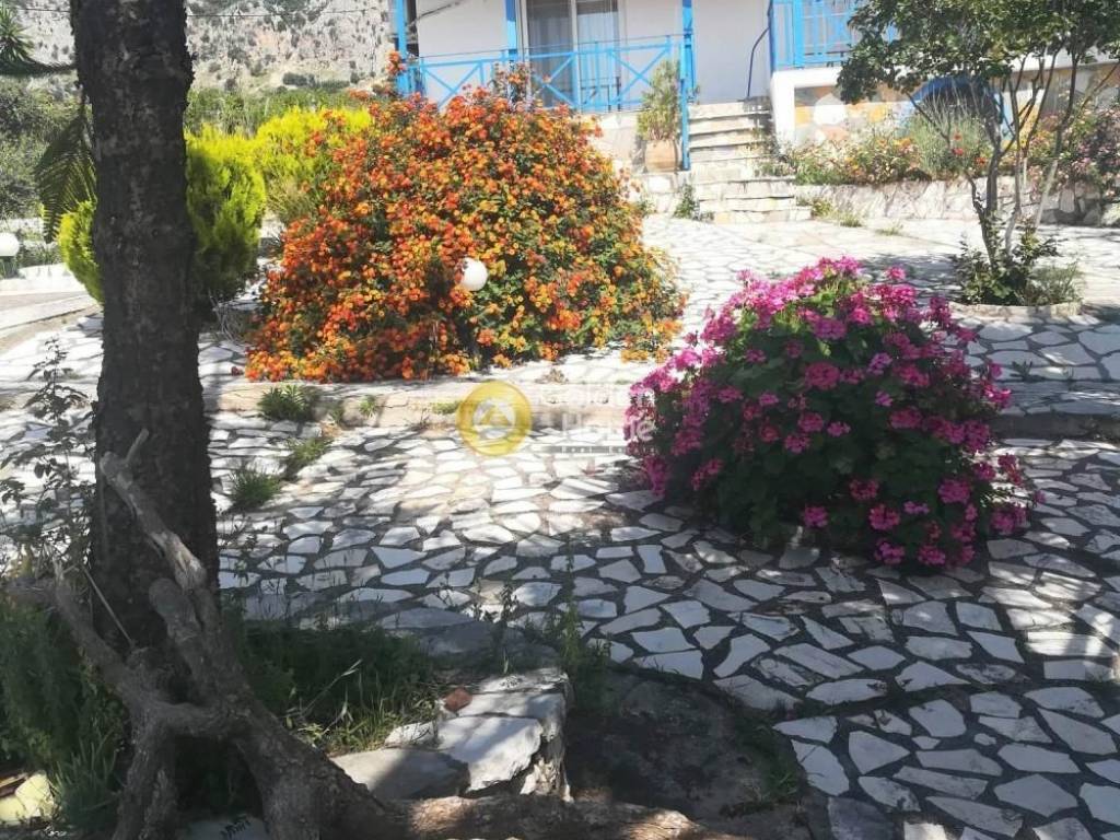 Ανελκυστήρας