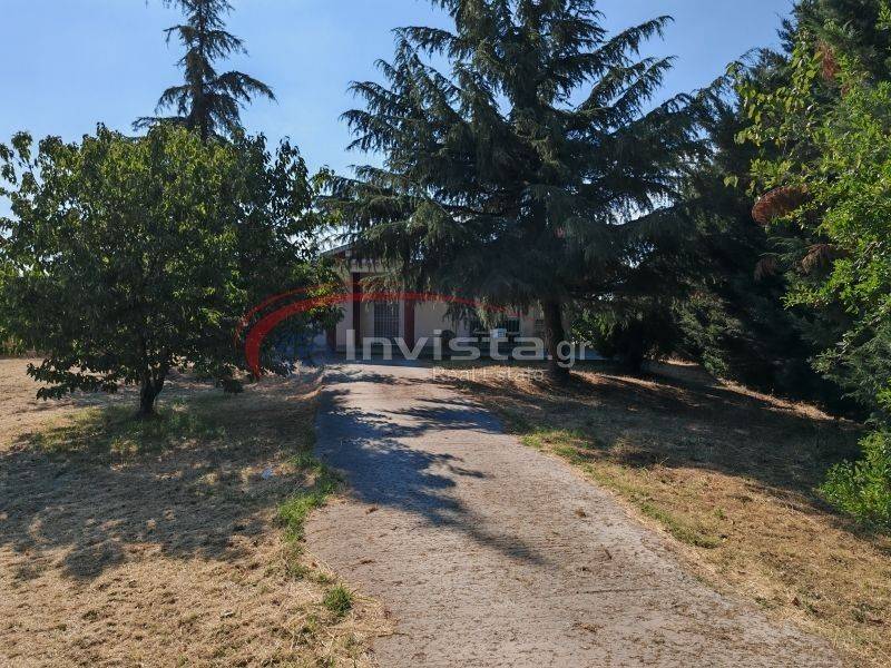 Εξωτερικός χώρος