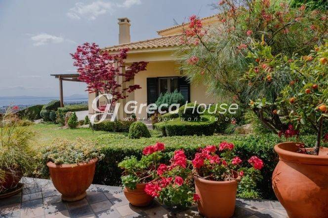 Βίλα με θέα Θάλασσα προς πώληση Εύβοια Γαλάζια Νερά 