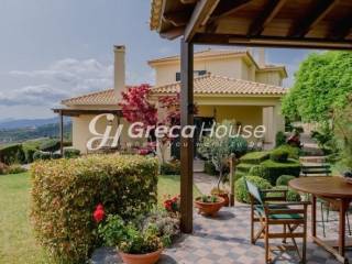 Βίλα με θέα Θάλασσα προς πώληση Εύβοια Γαλάζια Νερά 