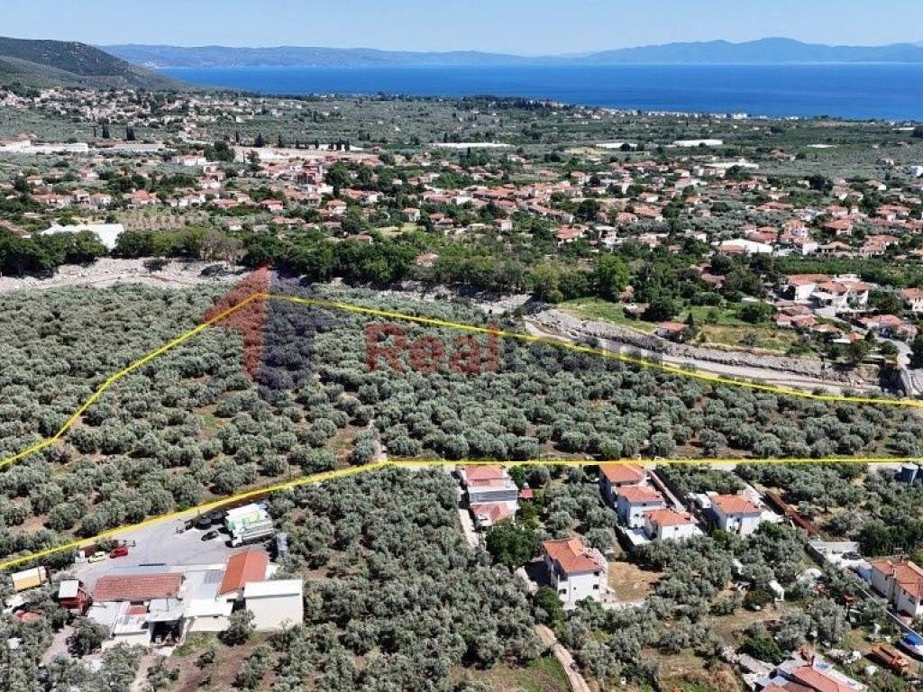 Εξωτερικοι χώροι