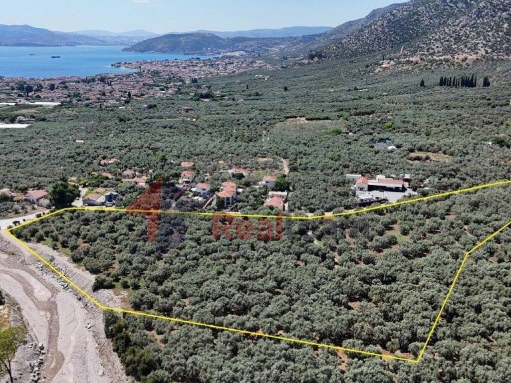 Εξωτερικοι χώροι