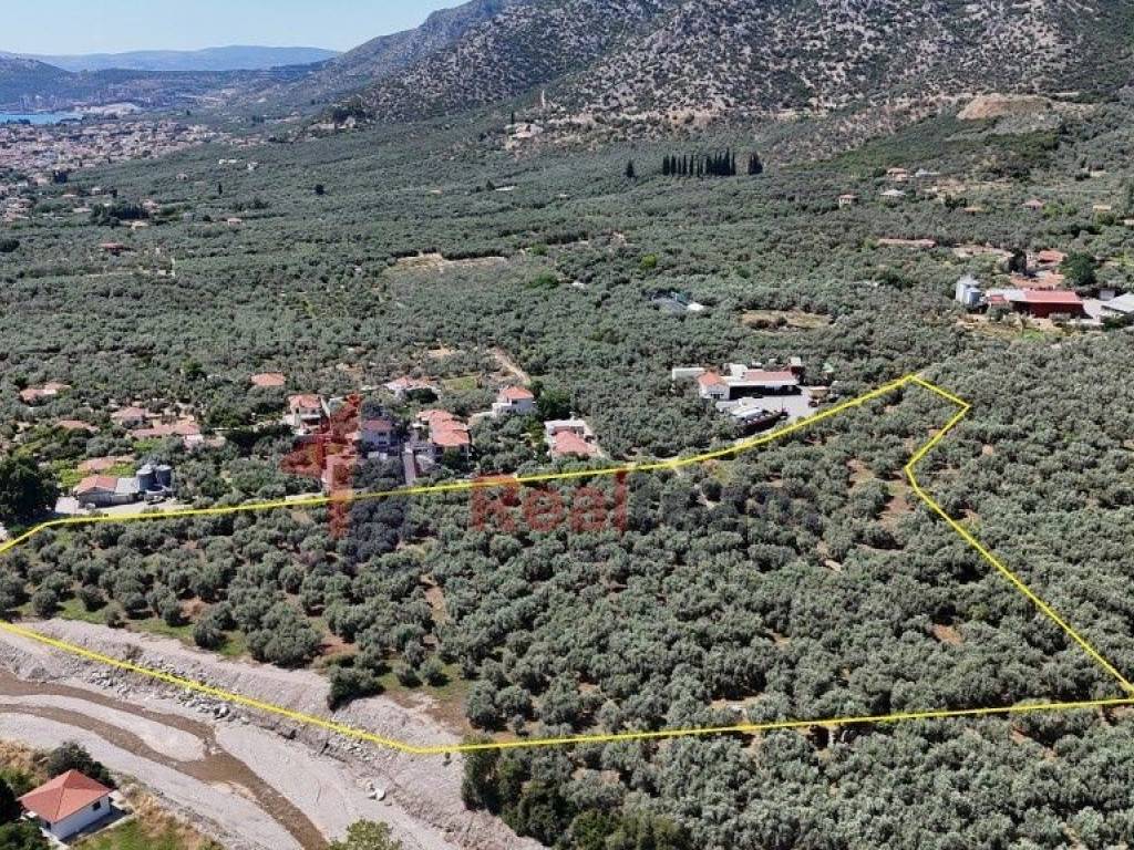 Εξωτερικοι χώροι