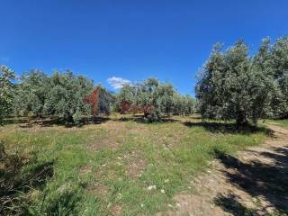 Εξωτερικοι χώροι