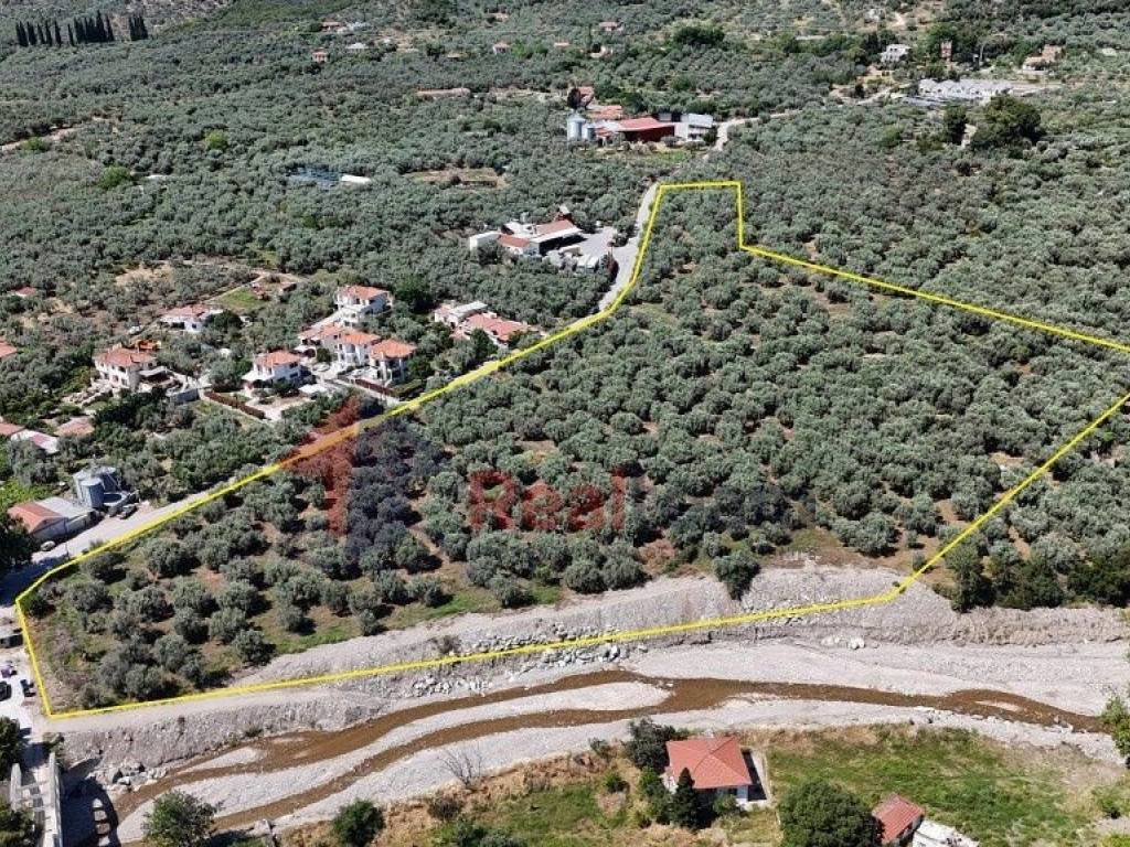 Εξωτερικοι χώροι