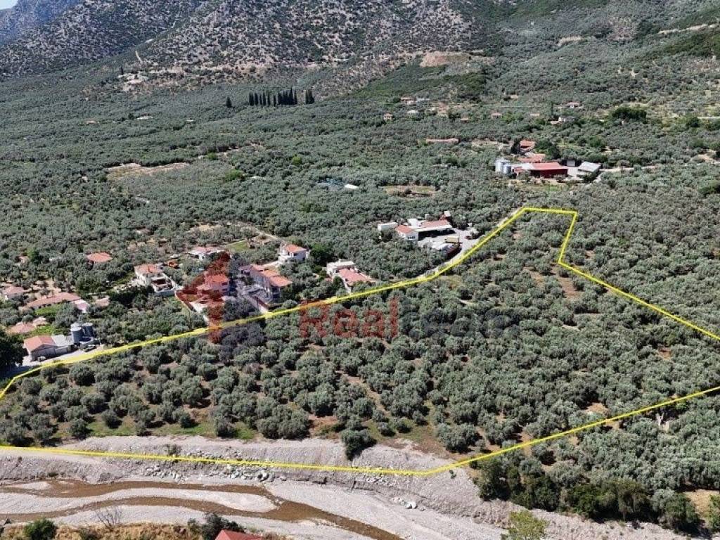 Εξωτερικοι χώροι