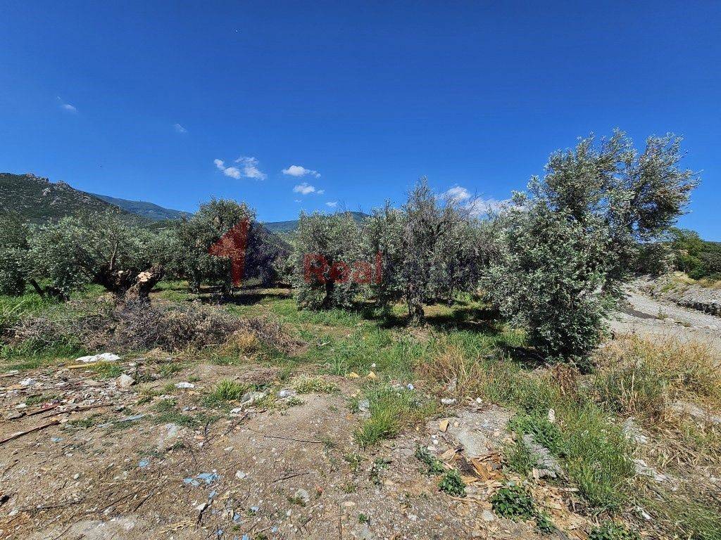 Εξωτερικοι χώροι