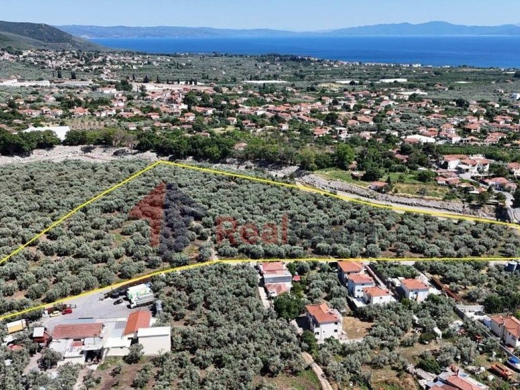 Εξωτερικοι χώροι