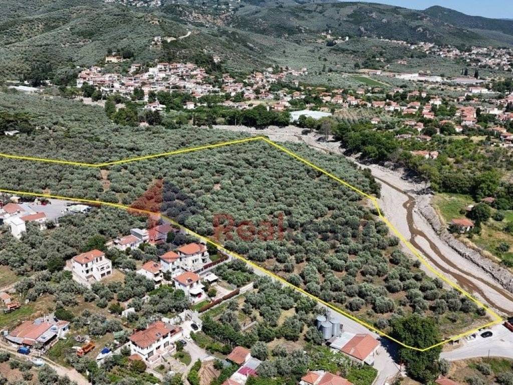 Εξωτερικοι χώροι