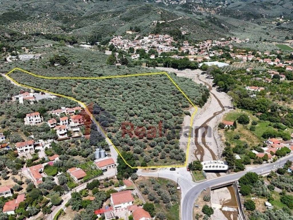 Εξωτερικοι χώροι