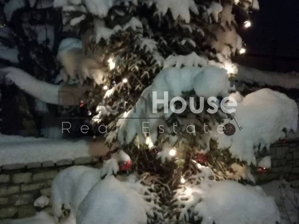 Ύπαρξη ανθρώπου