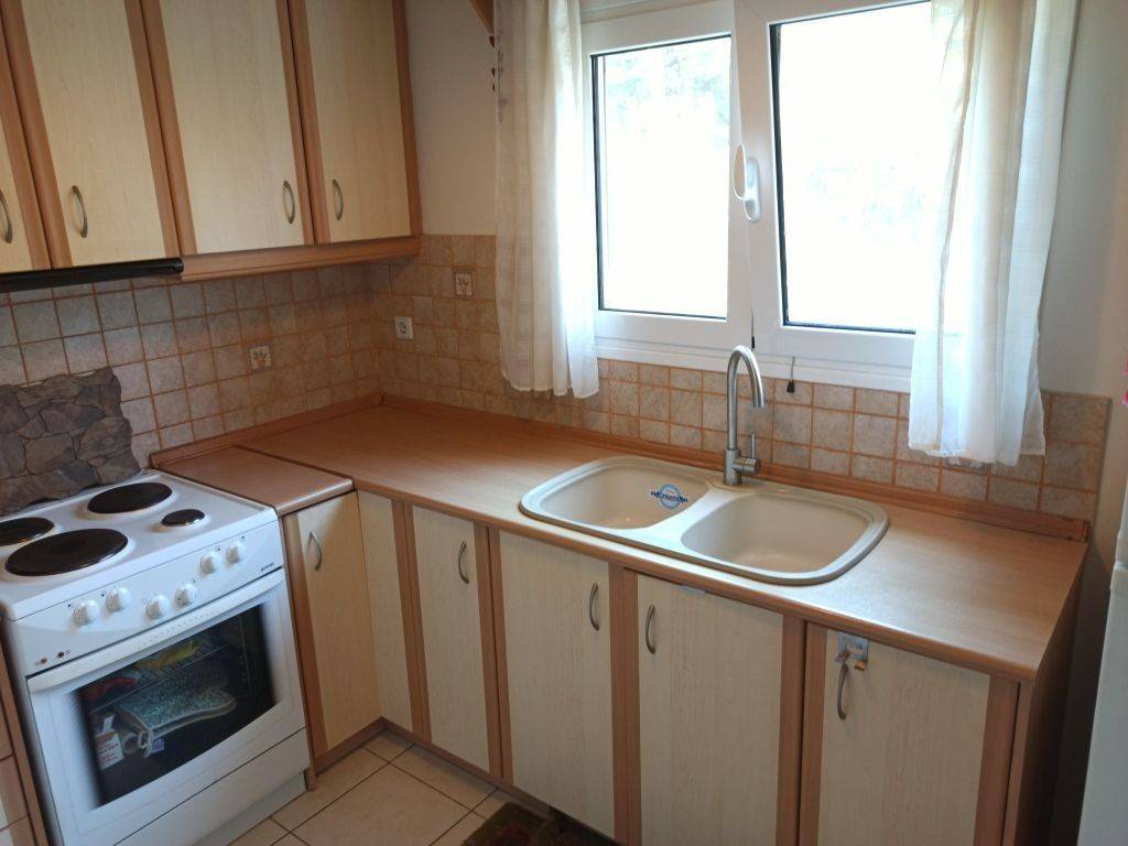 H KOYZINA TES MONOKATOIKIAS