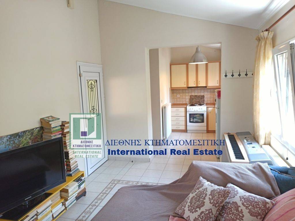 TO SALONI TES MONOKATOIKIAS