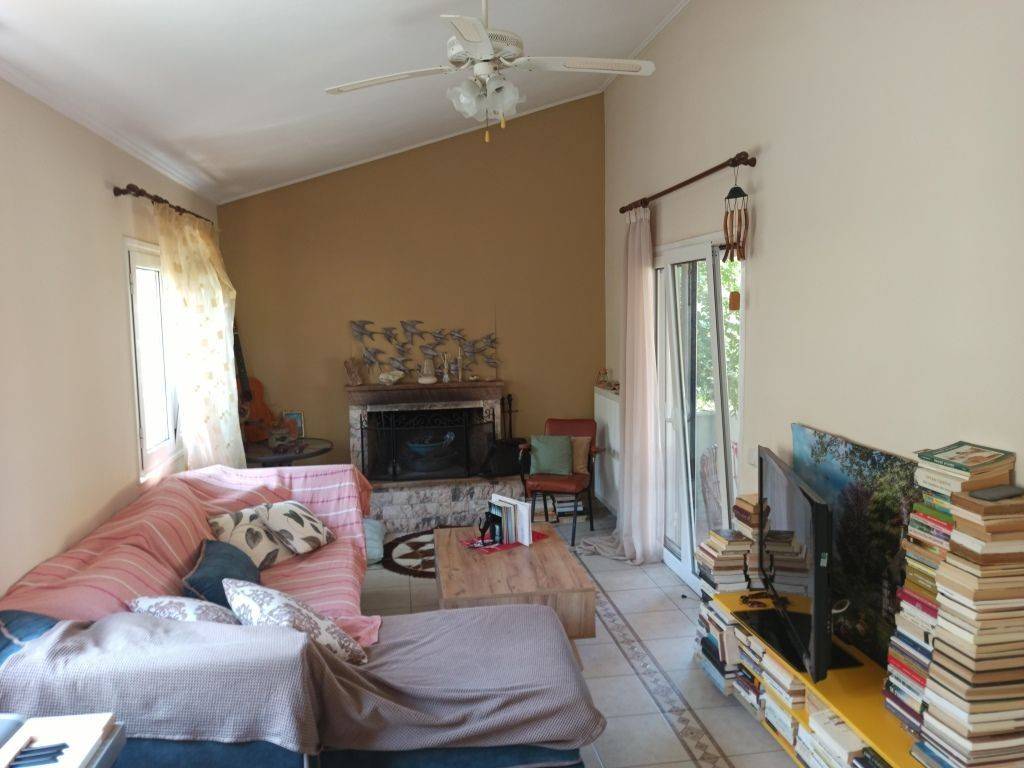 TO SALONI TES MONOKATOIKIAS