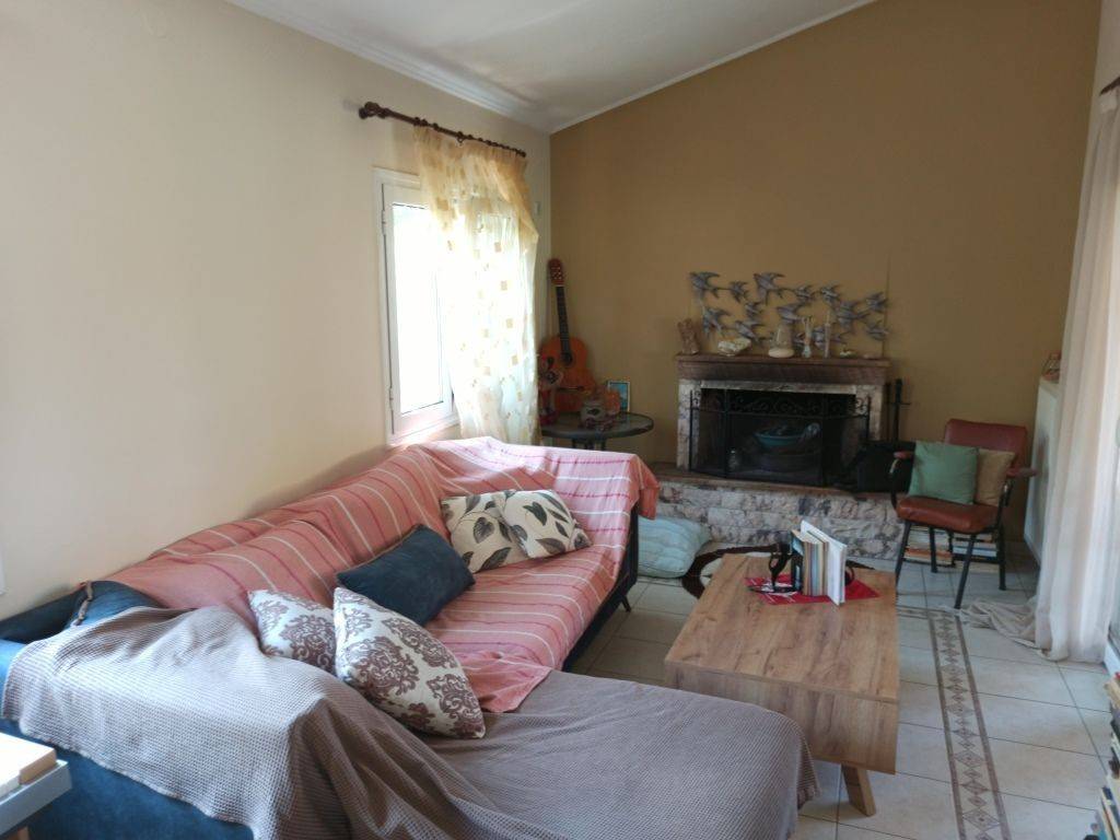 TO SALONI TES MONOKATOIKIAS