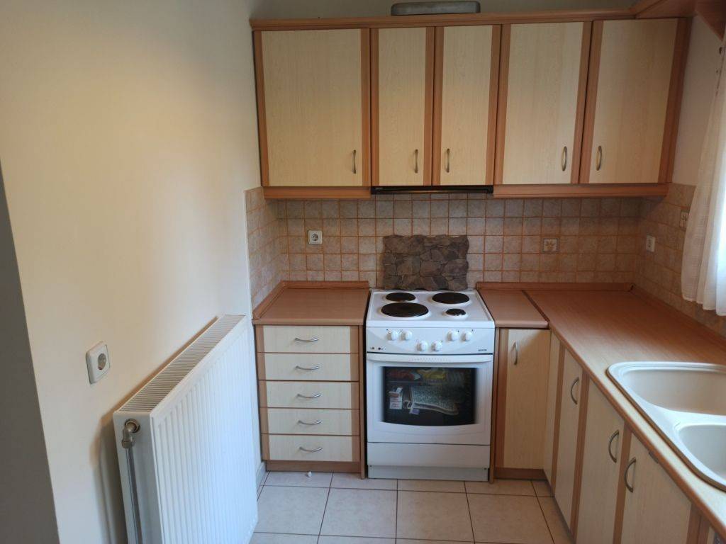 H KOYZINA TES MONOKATOIKIAS