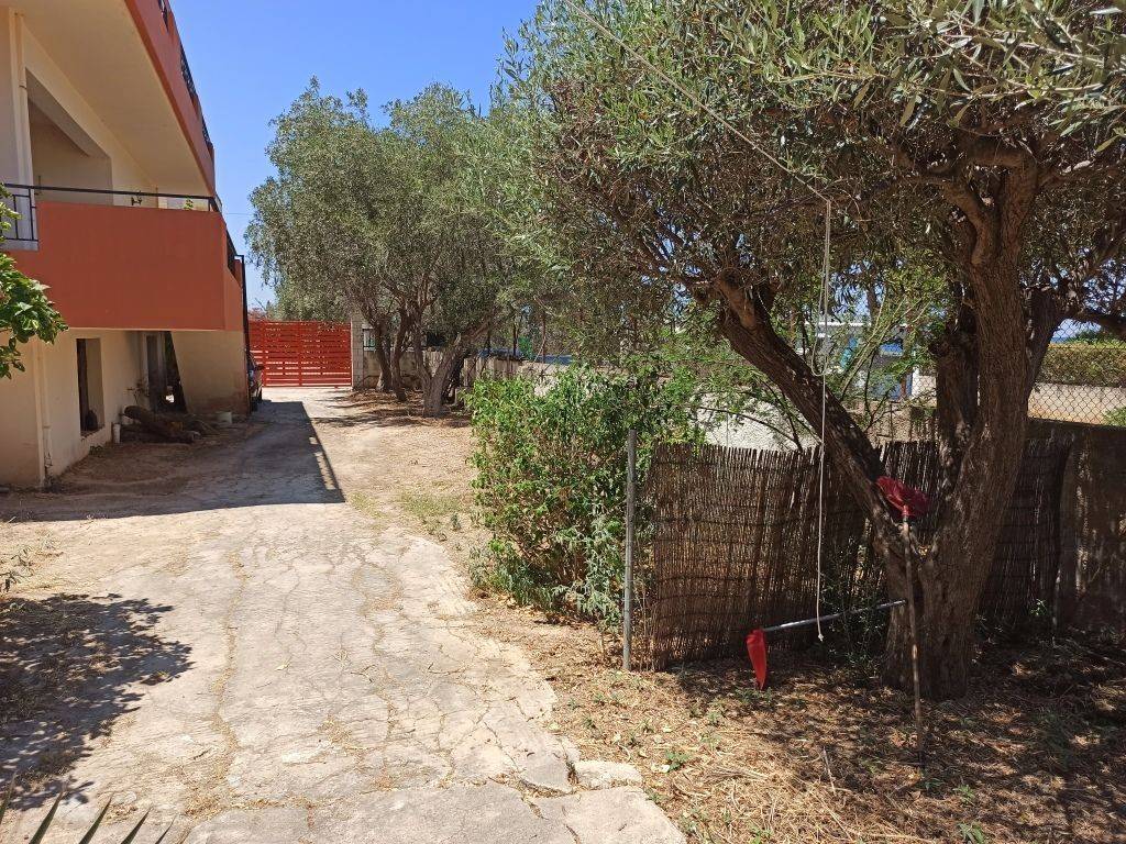 E DIODOS POY ODEGEI STE MONOKATOIKIA