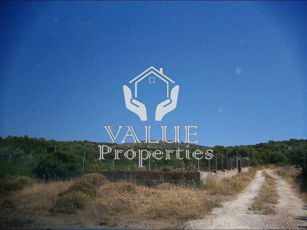 Εξωτερικοι χώροι