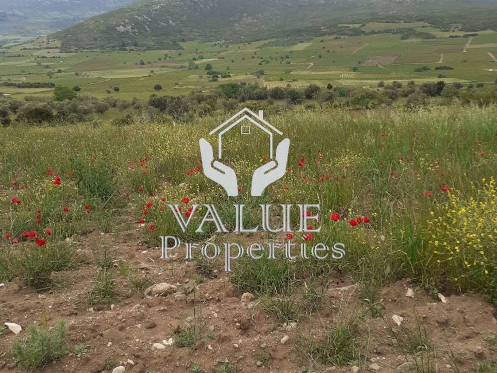 Εξωτερικοι χώροι