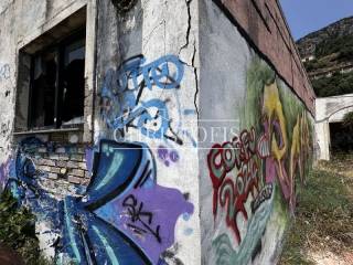 Ύπαρξη ανθρώπου