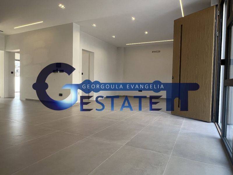 Σαλόνι,Σαλοκουζίνα