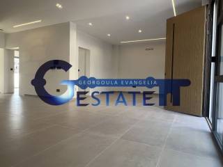 Σαλόνι,Σαλοκουζίνα