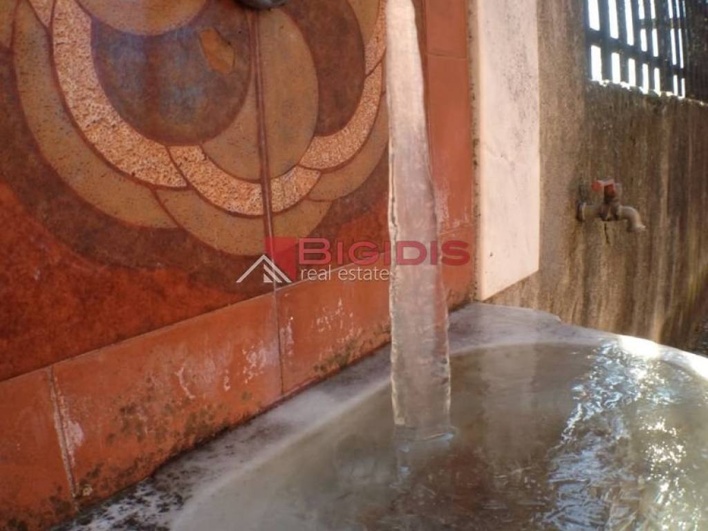 Ύπαρξη ανθρώπου