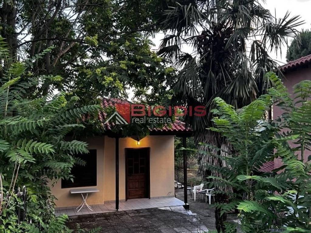 Εξωτερικός χώρος