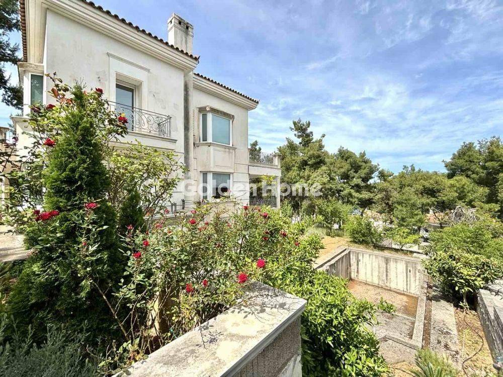 Ανελκυστήρας