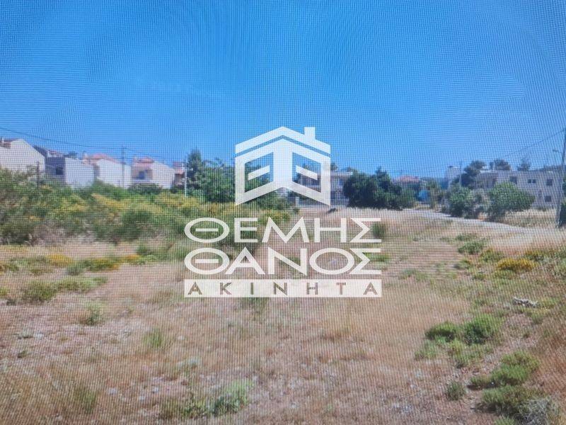 DIAMPERES TRIPHATSO OIKOPEDO