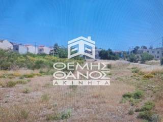 DIAMPERES TRIPHATSO OIKOPEDO