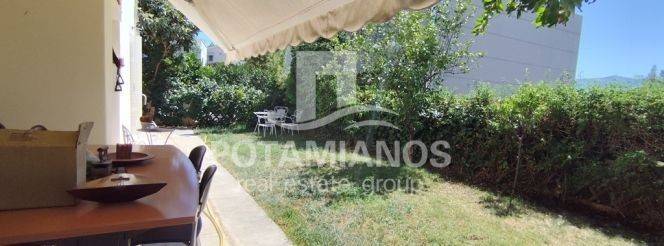 Εξωτερικός χώρος,Πίσω Αυλή