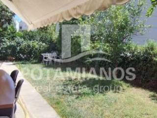 Εξωτερικός χώρος,Πίσω Αυλή